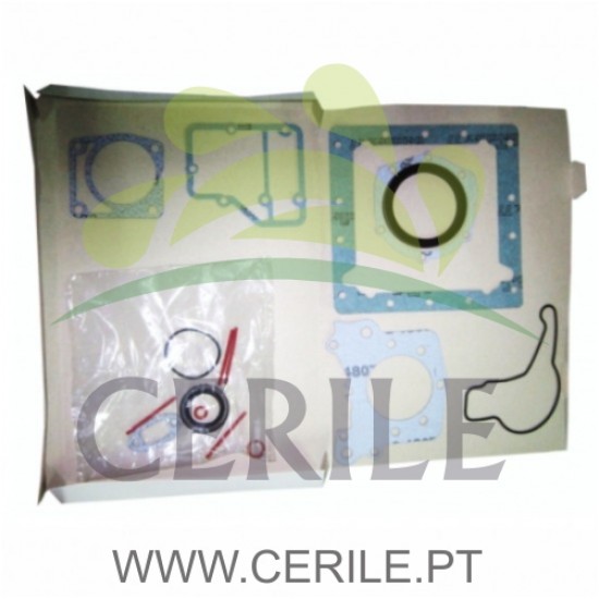 JOGO JUNTAS BLOCO LOMBARDINI FOCS ORIGINAL