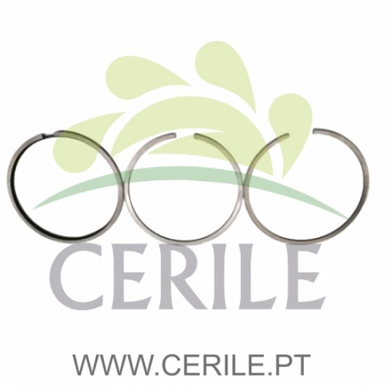 SEGMENTOS MOTOR LOMBARDINI FOCS +1.00