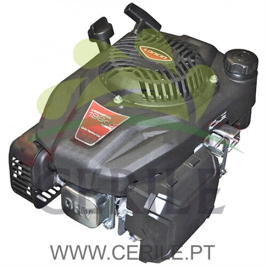 MOTOR LONCIN V200 (VEIO 22,2x80mm)