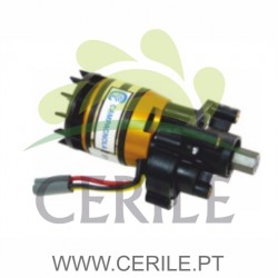 MOTOR VAREJADOR CAMPAGNOLA ALICE 12V