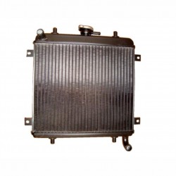 RADIADOR ADAP.GRECAV EKE/SONIQUE LOMBARDINI FOCS