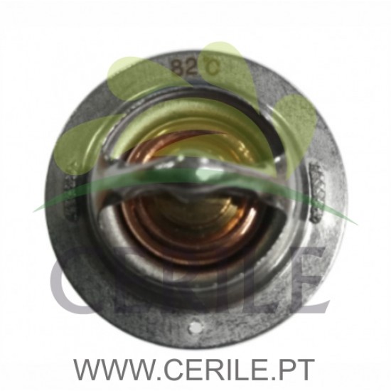 TERMOSTATO GRANDE ADAP.KUBOTA