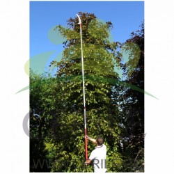 CABO EXTENSÍVEL TELESCÓPICO PARA SERROTE MANUAL ARS EXP-4.5