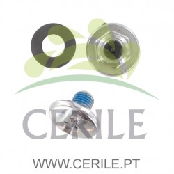 PARAFUSO + PORCA + ARRUELA DE SUBSTITUIÇÃO PARA SERRA ARS PM-21/24