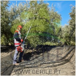 VAREJADOR GANCHO GASOLINA CIFARELLI SC904R