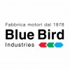 BLUE BIRD